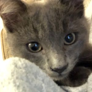 Meet your Posher, Jade